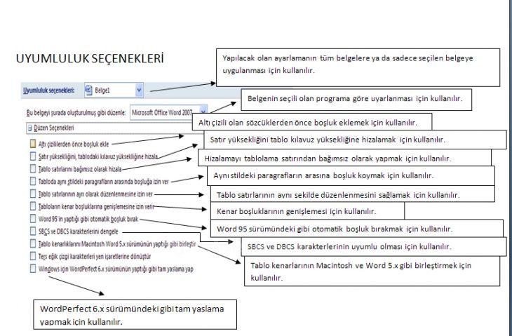 Araçlar Menüsünden Seçeneklerden Yazdır, Kaydet, Kullanıcı Bilgisi, Uyumluluk 10 Sekmelerinin Anlatılması