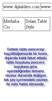 Outlines, Padding, Positioning, Table, Text, Pseudo-classes, Pseudo-elements