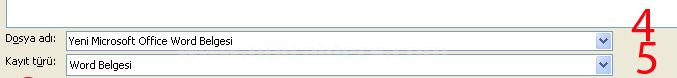 Microsoft Officeword Seçenekleri