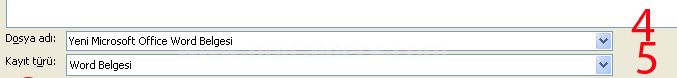 Microsoft Officeword Seçenekleri