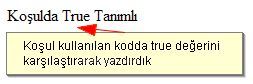 Değişken Tanımlamaları, Operatörler