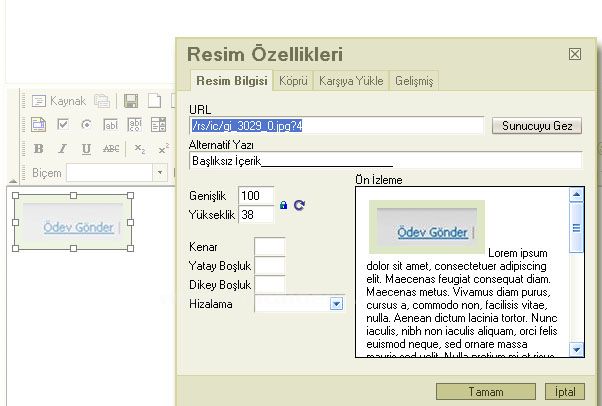 Başlıksız İçerik______________________