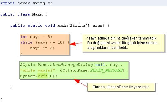 Do While, While, For Döngüleri, For-break;