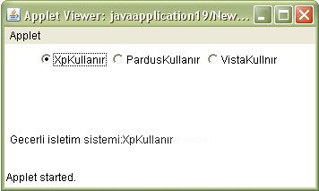 Java Applet Üzerine Form Nesnelerini Eklemek