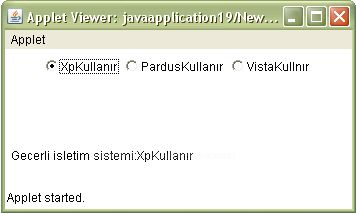 Java Applet Üzerine Form Nesnelerini Eklemek