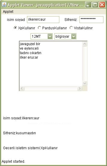 Java Applet Üzerine Form Nesnelerini Eklemek