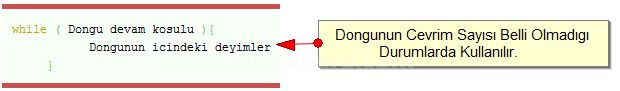 do while, while, for döngüleri, for-break;