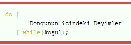 Do While, While, For Döngüleri, For-break;