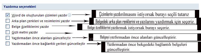 Baskı Önizleme Sekmesi