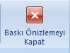 Baskı Önizleme Sekmesi