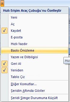 Baskı Önizleme Sekmesi