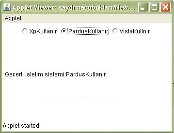 Java Applet üzerine Form Nesnelerini Eklemek