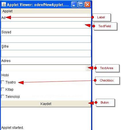 Java Applet Üzerine Form Nesnelerini Eklemek