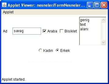 Java Applet üzerine Form Nesnelerini Eklemek