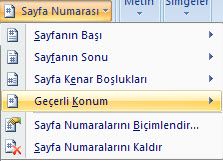 Sayfa Numaraları Bölümlere Farklı Tipte Ve Başlangıç Sayfa Numarası Vermek
