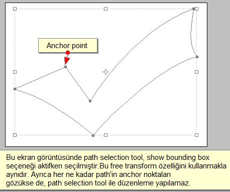 Photoshop Path Direct Selection Tool
