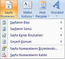 Sayfa Numaraları Bölümlere Farklı Tipte Ve Başlangıç Sayfa Numarası Vermek