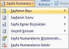 Sayfa Numaraları Bölümlere Farklı Tipte Ve Başlangıç Sayfa Numarası Vermek