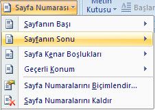 Sayfa Numaraları Bölümlere Farklı Tipte Ve Başlangıç Sayfa Numarası Vermek