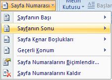 Sayfa Numaraları Bölümlere Farklı Tipte Ve Başlangıç Sayfa Numarası Vermek