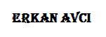 Office 2007 Yazı Tipi Menüsü Ve Araçları..