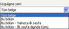 Word 2007 - Kenarlıklar Ve Gölgelendirme