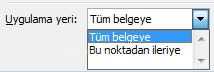 Sütun Oluşturma Cetvel Üzerindeki Sütun Araçları, Bölümler Ve Sütun İlişkileri