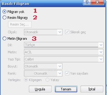 Word2007 - Filigran Menüsü