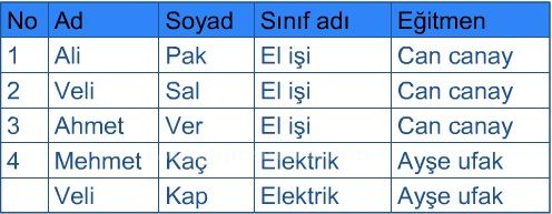 Veritabanı Nedir?