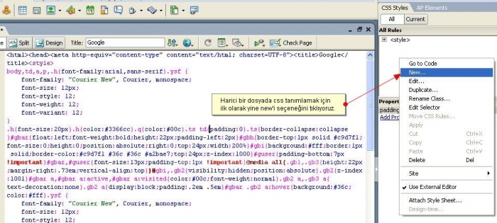 CSS Paneli ve CSS Olusturma