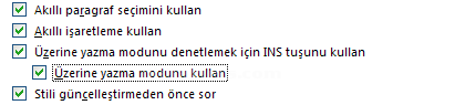 Office 2007 Word Seçenekleri
