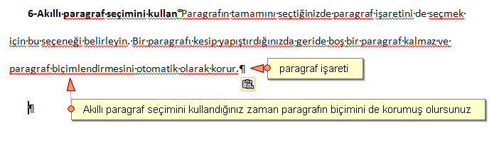 Office 2007 Word Seçenekleri