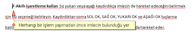 Office 2007 Word Seçenekleri