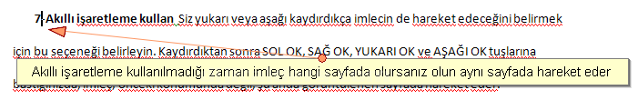 Office 2007 Word Seçenekleri