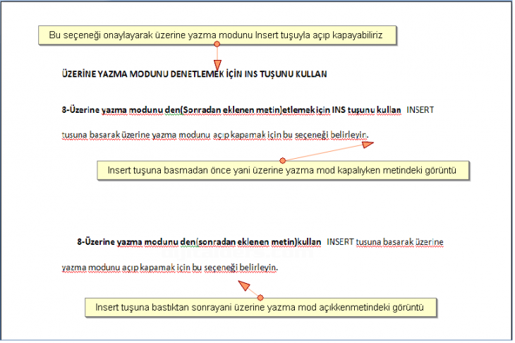 Office 2007 Word Seçenekleri