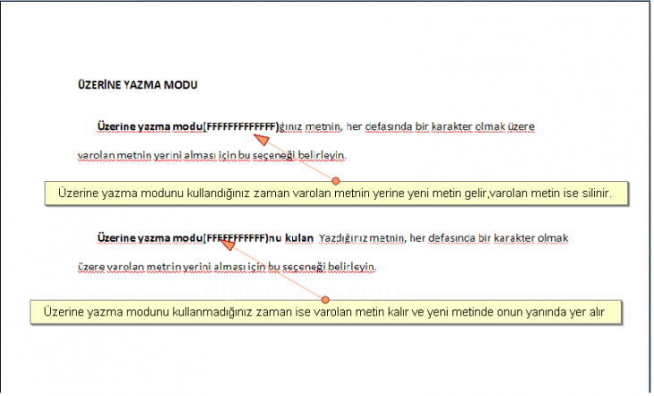 Office 2007 Word Seçenekleri