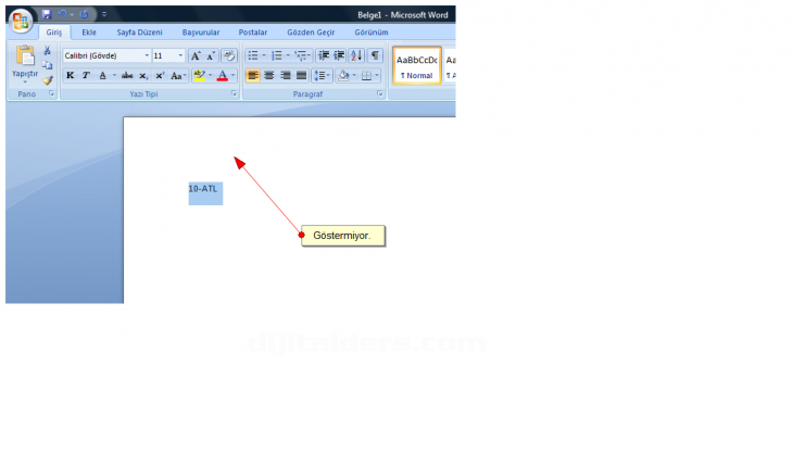 Office 2007 Word Seçenekleri