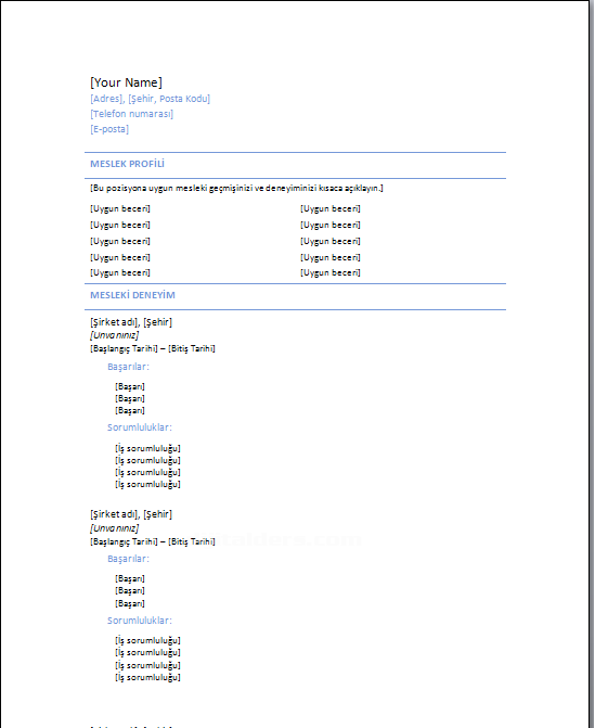 Office 2007 Word Şablonları