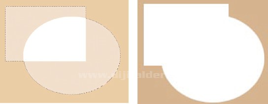Photoshop Marquee Tools Seçim Araçları