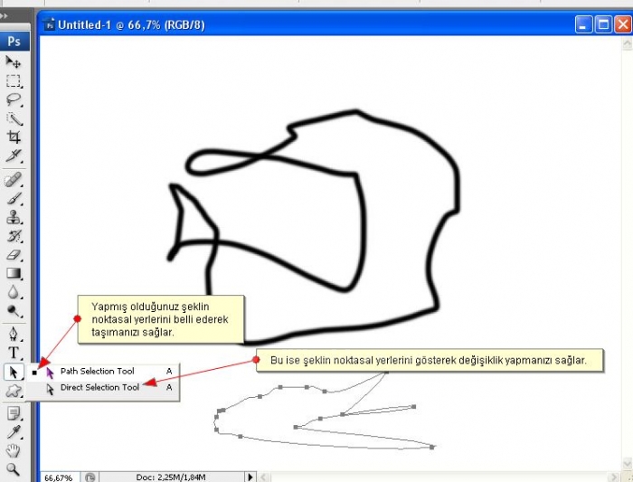 Path Selection Tool ve Rectangle Tool