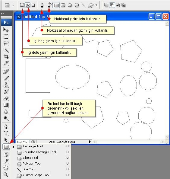 Path Selection Tool ve Rectangle Tool