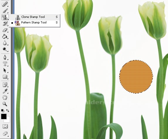 Stamp Tool ali iletir
