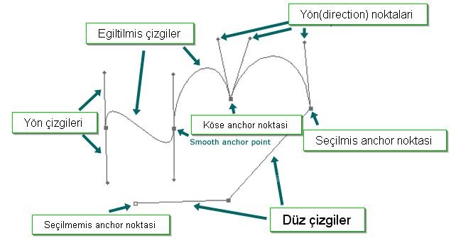 Path ve Pen Tool