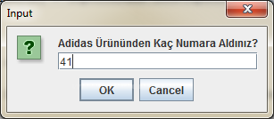 while döngüsü