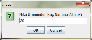 While Döngüsü