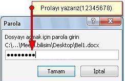 Başlıksız İçerik______________________