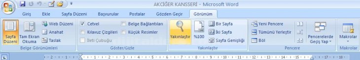 Office 2007 Word Görünüm Menüsü Yakınlaştır Paneli