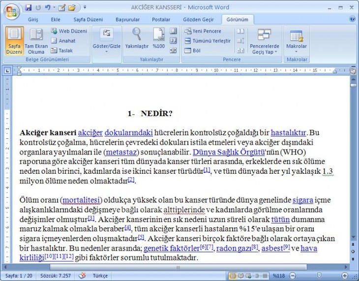 Office 2007 Word Görünüm Menüsü Yakınlaştır Paneli