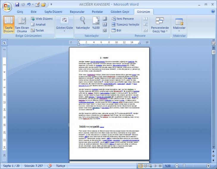 Office 2007 Word Görünüm Menüsü Yakınlaştır Paneli