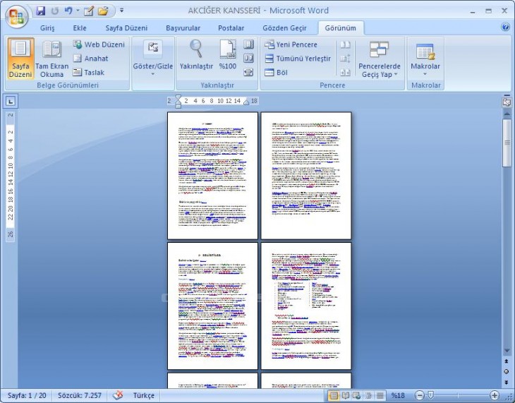 Office 2007 Word Görünüm Menüsü Yakınlaştır Paneli